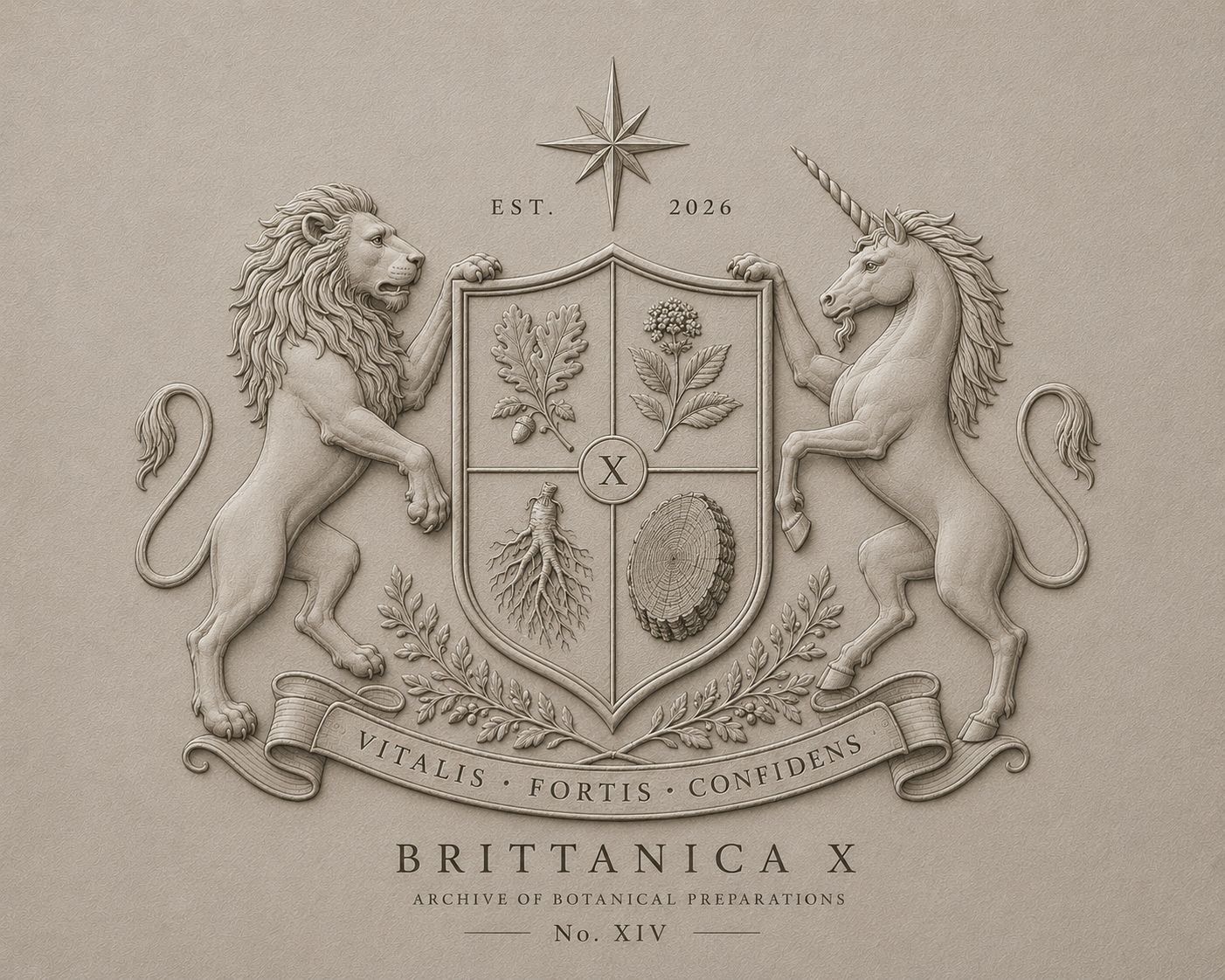 Brittanica X archival standard