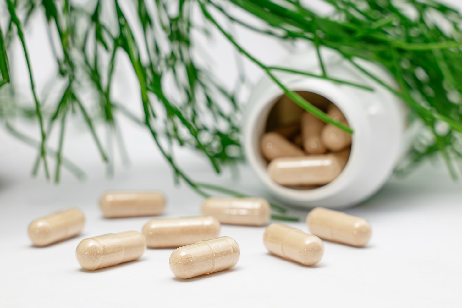 How Ancient Wisdom Shapes Modern Health Products