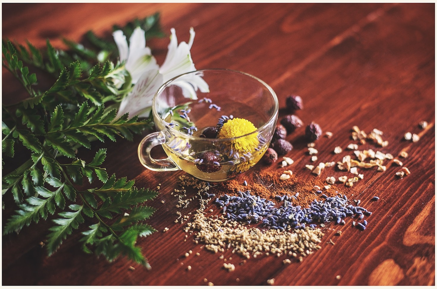 Herbal Supplements: A Guide to Natural Health Solutions